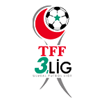TFF 3. Лиг, Группа 1